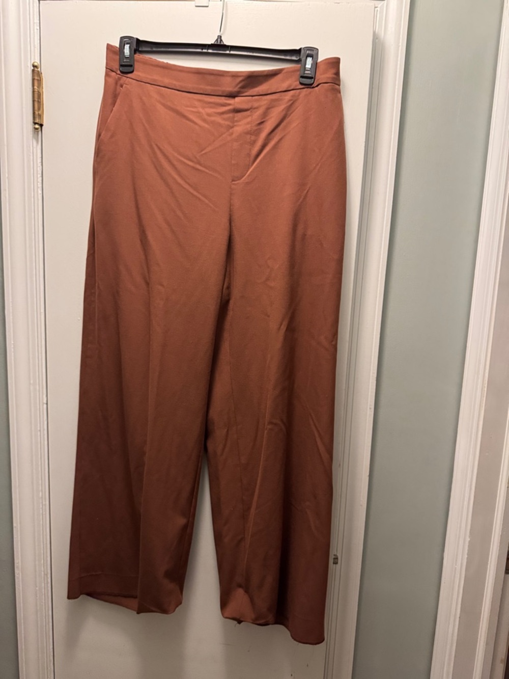 Banana Republic Hayden Wide-Leg Pants in Rust Brown